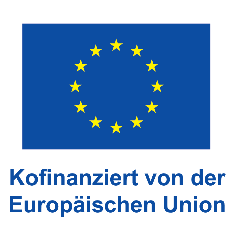 DE V Kofinanziert von der Europ„ischen Union_POS.png