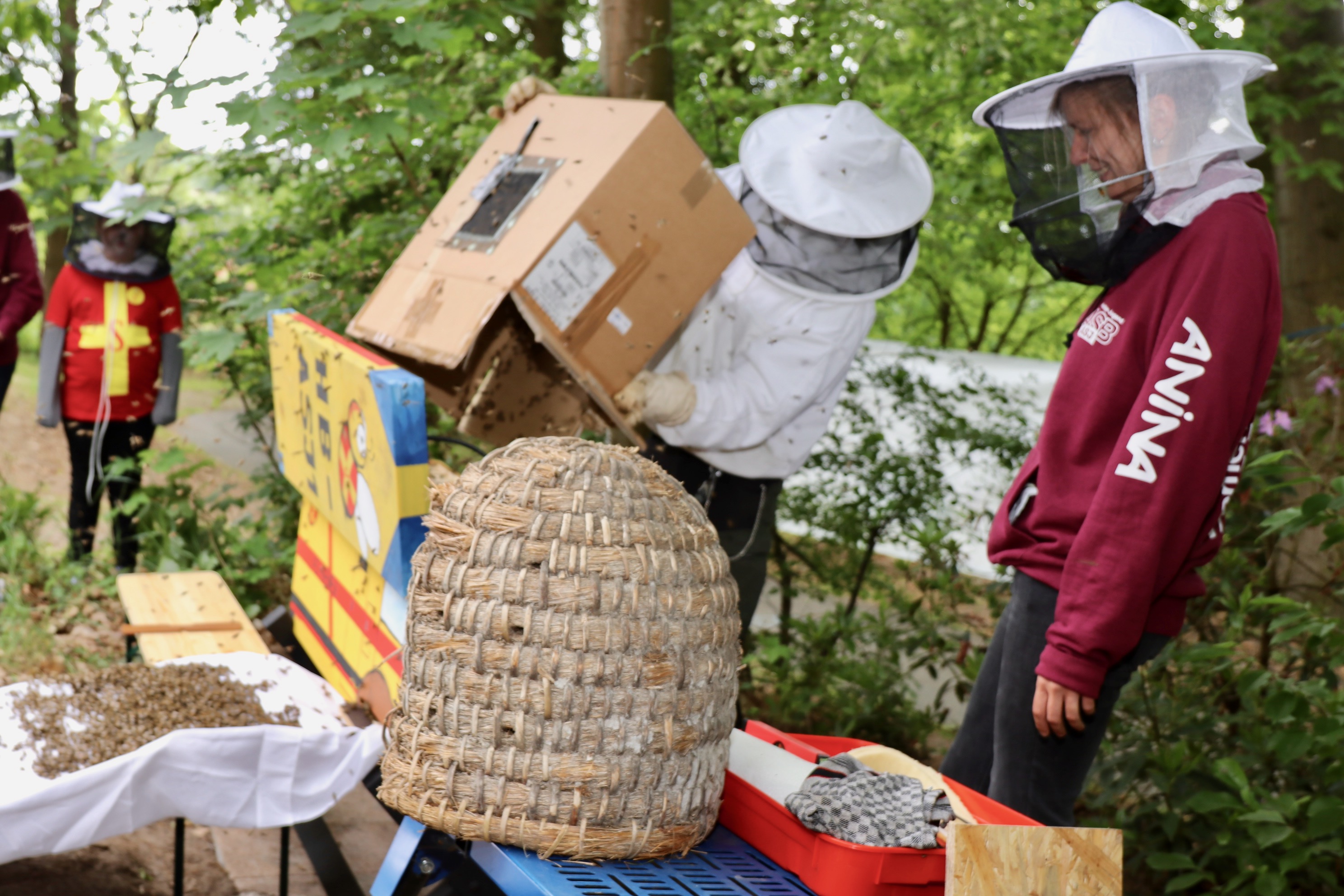 ASBienen: Königin Samarienchen und ihr Volk beziehen ihr neues Zuhause!