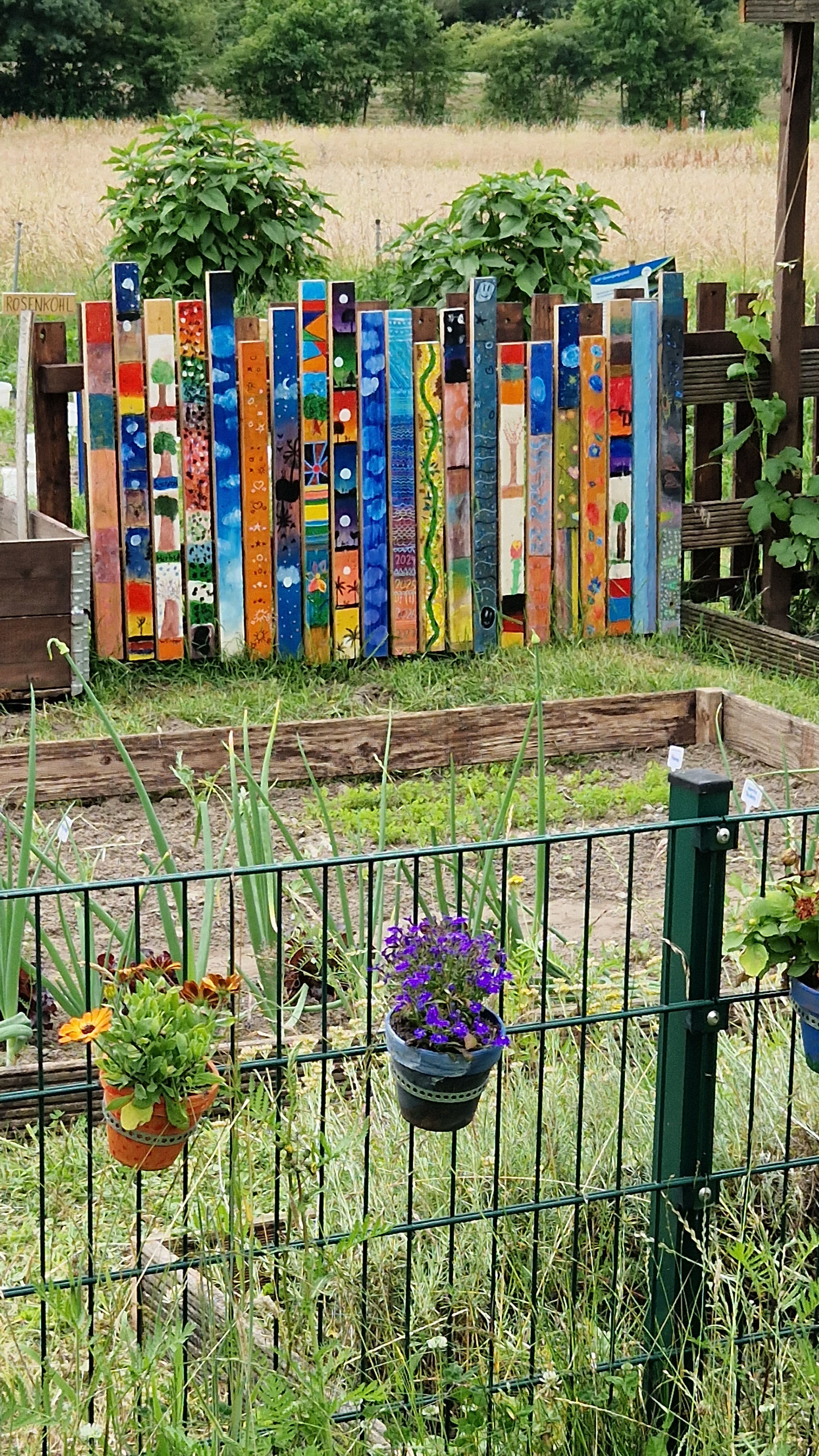 SEELIG Sommerfest_2024_Gemüsegarten_1.jpg